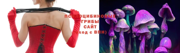 spice Гусиноозёрск