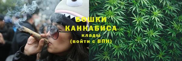 2c-b Гусев