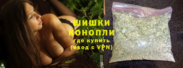 spice Гусиноозёрск